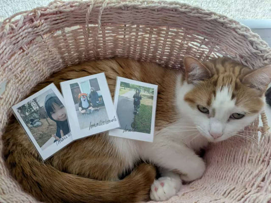 Mole Autograph Photo + Mystery gift